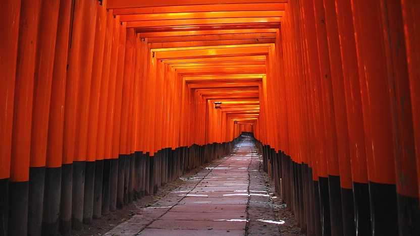 Thousands of vibrant red torii gates creating a tunnel at Fushimi Inari-taisha Shrine