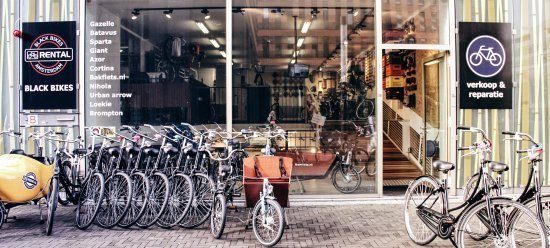 Selection of bikes at an Amsterdam rental shop