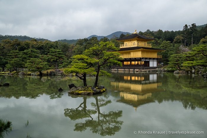 The stunning Golden Pavilion (Kinkaku-ji) reflected in its surrounding pond