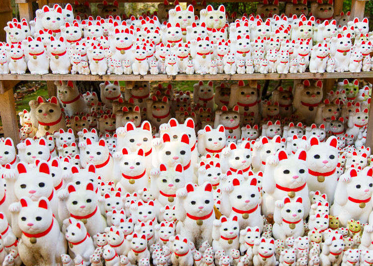 Thousands of beckoning cat figurines, maneki-neko, displayed at Gotokuji Temple in Tokyo.