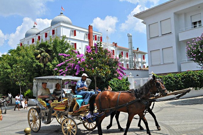 A horse-drawn carriage on one of the Princes' Islands