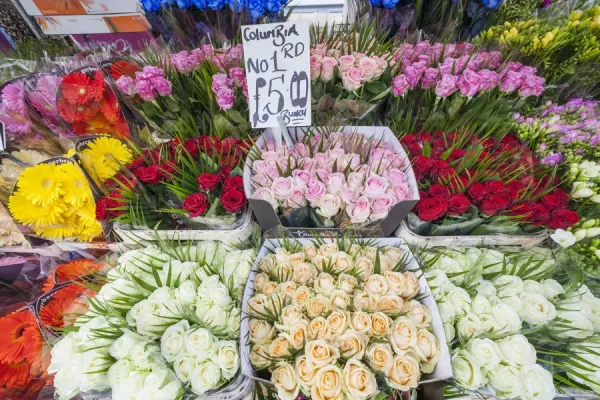Vibrant flower displays at Columbia Road Flower Market