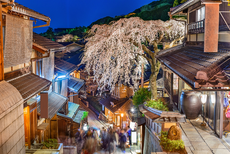 A picturesque Kyoto street adorned with blooming cherry blossoms