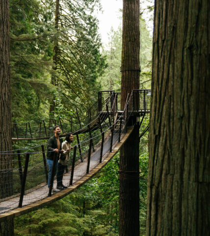 A person walking across the iconic Capilano Suspension Bridge surrounded by lush green forest.