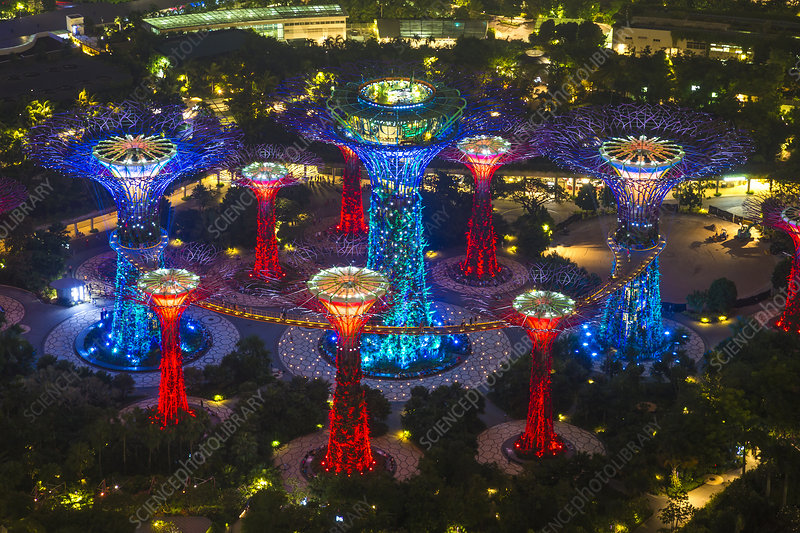 The iconic Supertree Grove in Gardens by the Bay illuminated at night.